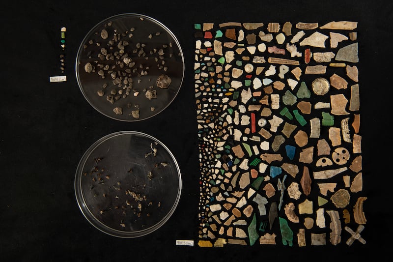 A study indicates plastic ingested by seabird chicks damages internal organs and the brain.