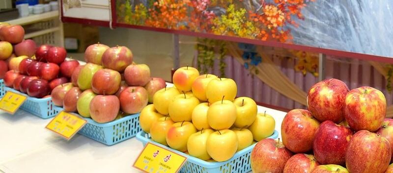 스크린샷 2024-07-18 오후 5.42.18.png